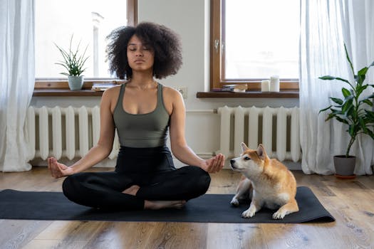 meditation and relaxation